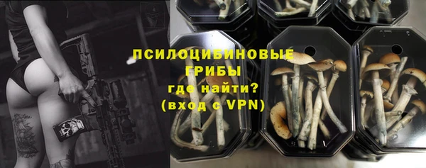 твердый Алзамай
