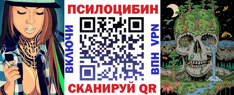 Псилоцибиновые грибы Psilocybe дарнет шоп Амурск